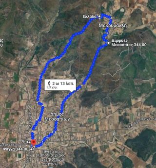 Μακρυμάλλη