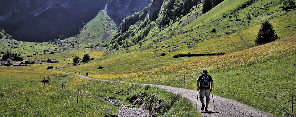 Που θα πάμε...